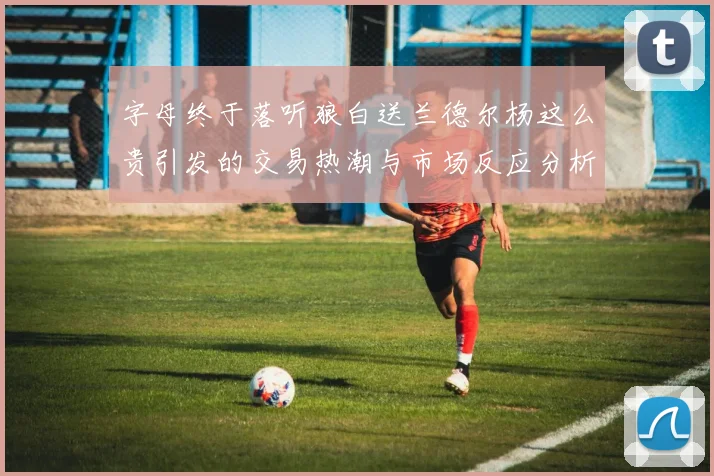 字母终于落听狼白送兰德尔杨这么贵引发的交易热潮与市场反应分析