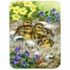 Caroline&apos;s Treasures ASA2020LCB Mallard Duck Chicks Glass Cutting Board, Large -Tools Verkaufsladen M00638508088734 3734949803