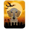 Caroline's Treasures BB1791LCB Halloween Wirehaired Dachshund Glass Cutting Board - Large 1 Caroline's Treasures BB1791LCB Halloween Wirehaired Dachshund Glass Cutting Board - Large -Tools Verkaufsladen M00638508119469 2686786446