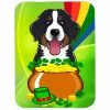 Caroline&apos;s Treasures BB1981LCB Bernese Mountain Dog St. Patricks Day Glass Cutting Board - Large -Tools Verkaufsladen M00638508195883 3096878650