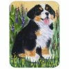 Caroline&apos;s Treasures SS8215LCB Bernese Mountain Dog Glass Cutting Board - Large -Tools Verkaufsladen M00705332108249 1076684103