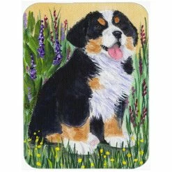 Caroline&apos;s Treasures SS8215LCB Bernese Mountain Dog Glass Cutting Board - Large