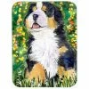 Caroline&apos;s Treasures SS8955LCB Bernese Mountain Dog Glass Cutting Board, Large -Tools Verkaufsladen M00705332112703 4253616345