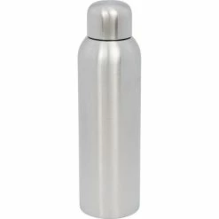 Bullet Guzzle Sport Bottle (Silver) (One Size)